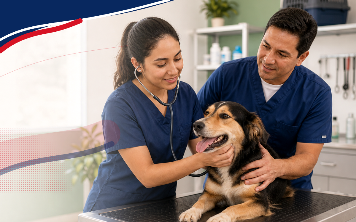 Técnico Auxiliar en Veterinaria